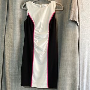 EUC Calvin Klein Lined Sleeveless Crewneck Sheath Dress 4/S